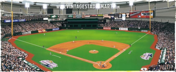 Devil Rays Debut Vintage Baseball Stadium Art